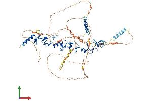 AlphaFold protein structure predicition of Human Recombinant LPP Protein, UniprotID Q93052