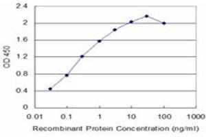 Detection limit for recombinant GST tagged NBR1 is approximately 0. (NBR1 anticorps  (AA 2-96))