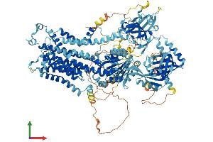 AlphaFold protein structure predicition of Mouse Recombinant Atp11a Protein, UniprotID P98197