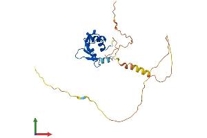 AlphaFold protein structure predicition of Human Recombinant FEV Protein, UniprotID Q99581