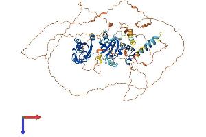 AlphaFold protein structure predicition of Human Recombinant NPAS4 Protein, UniprotID Q8IUM7