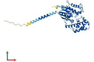 AlphaFold protein structure predicition of Mouse Recombinant Gna12 Protein, UniprotID P27600 (GNA12 Protein (AA 1-379) (His tag))
