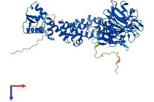 AlphaFold protein structure predicition of Human Recombinant KLHL9 Protein, UniprotID Q9P2J3