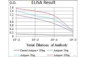 Red: Control Antigen (100ng) ; Purple: Antigen (10ng) ; Green: Antigen (50ng) ; Blue: Antigen (100ng).