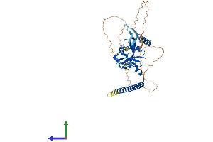 AlphaFold protein structure predicition of Human Recombinant RASSF6 Protein, UniprotID Q6ZTQ3