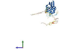 AlphaFold protein structure predicition of Mouse Recombinant Ppp1r3b Protein, UniprotID Q8C767