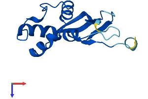 AlphaFold protein structure predicition of Human Recombinant TRMT112 Protein, UniprotID Q9UI30