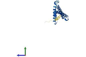 AlphaFold protein structure predicition of Human Recombinant C1D Protein, UniprotID Q13901