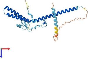 AlphaFold protein structure predicition of Mouse Recombinant Med7 Protein, UniprotID Q9CZB6
