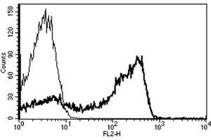 Flow Cytometry (FACS) image for anti-CD2 (CD2) antibody (Biotin) (ABIN1106020) (CD2 anticorps  (Biotin))