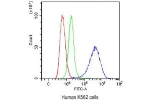 Flow cytometry testing of human K562 cells with NFIA antibody at 1ug/10^6 cells (blocked with goat sera) (NFIA anticorps  (AA 180-224))