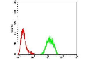 Flow cytometric analysis of Hela cells using KMT2C mouse mAb (green) and negative control (red). (MLL3 anticorps  (AA 1-205))