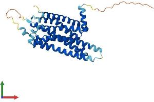 AlphaFold protein structure predicition of Human Recombinant ADORA2B Protein, UniprotID P29275