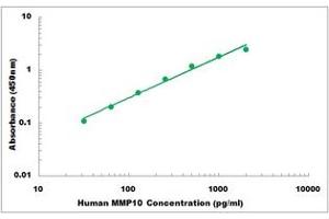 Representative Standard Curve (MMP10 Kit ELISA)