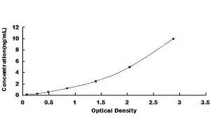 ELISA image for Optineurin (OPTN) ELISA Kit (ABIN418384)