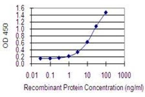 Detection limit for recombinant GST tagged COX4NB is 0. (COX4NB anticorps  (AA 113-210))