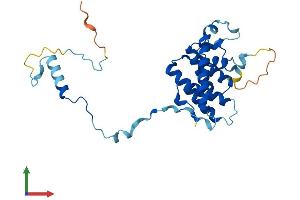 AlphaFold protein structure predicition of Mouse Recombinant Gemin2 Protein, UniprotID Q9CQQ4