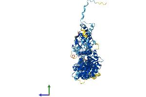 AlphaFold protein structure predicition of Human Recombinant ELMO2 Protein, UniprotID Q96JJ3