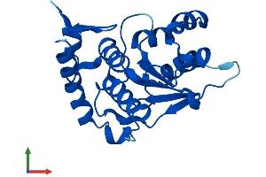 AlphaFold protein structure predicition of Human Recombinant SENP8 Protein, UniprotID Q96LD8