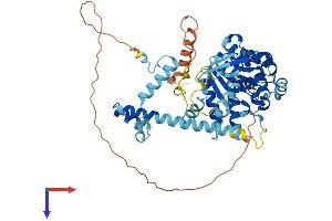AlphaFold protein structure predicition of Mouse Recombinant Katnal2 Protein, UniprotID Q9D3R6
