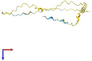 AlphaFold protein structure predicition of Human Recombinant VCX2 Protein, UniprotID Q9H322
