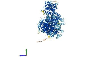 AlphaFold protein structure predicition of Human Recombinant MED23 Protein, UniprotID Q9ULK4