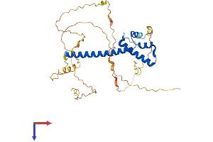 AlphaFold protein structure predicition of Mouse Recombinant Neurod6 Protein, UniprotID P48986