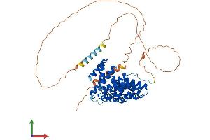AlphaFold protein structure predicition of Human Recombinant ARMCX1 Protein, UniprotID Q9P291