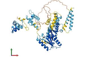 AlphaFold protein structure predicition of Mouse Recombinant Tigd2 Protein, UniprotID Q0VBL1