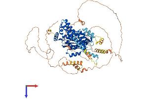 AlphaFold protein structure predicition of Mouse Recombinant Pnpla8 Protein, UniprotID Q8K1N1