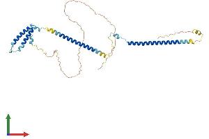 AlphaFold protein structure predicition of Human Recombinant DSN1 Protein, UniprotID Q9H410