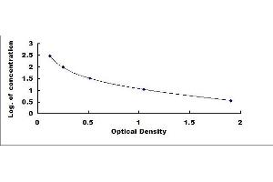 Typical standard curve (PIICP Kit ELISA)