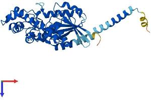 AlphaFold protein structure predicition of Human Recombinant GNAQ Protein, UniprotID P50148