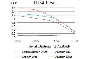 Black line: Control Antigen (100 ng), Purple line: Antigen(10 ng), Blue line: Antigen (50 ng), Red line: Antigen (100 ng), (CEBPA anticorps)