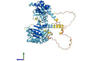 AlphaFold protein structure predicition of Human Recombinant IGF2BP1 Protein, UniprotID Q9NZI8
