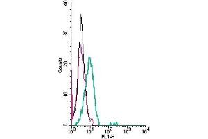 Cell surface detection of NCAM1 by indirect flow cytometry in live intact human natural killer cells  cells: + goat-anti-rabbit-FITC.