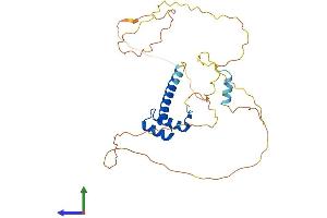 AlphaFold protein structure predicition of Mouse Recombinant Hoxa11 Protein, UniprotID P31311
