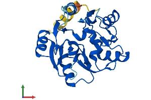 AlphaFold protein structure predicition of Mouse Recombinant Eif6 Protein, UniprotID O55135