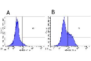Flow-cytometry using anti-CD52 antibody Campath-1H   Rhesus monkey lymphocytes were stained with an isotype control (panel A) or the rabbit-chimeric version of Campath-1H (panel B) at a concentration of 1 µg/ml for 30 mins at RT.