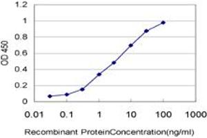 Detection limit for recombinant GST tagged ARAF is approximately 0. (ARAF anticorps  (AA 151-250))