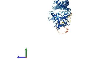 AlphaFold protein structure predicition of Human Recombinant STAMBP Protein, UniprotID O95630