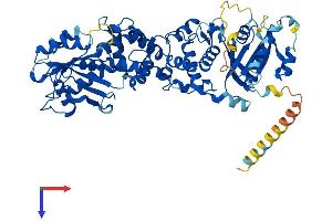 AlphaFold protein structure predicition of Human Recombinant RHOT2 Protein, UniprotID Q8IXI1