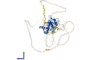 AlphaFold protein structure predicition of Human Recombinant NFIX Protein, UniprotID Q14938