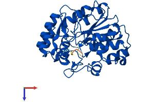 AlphaFold protein structure predicition of Mouse Recombinant Sult1b1 Protein, UniprotID Q9QWG7