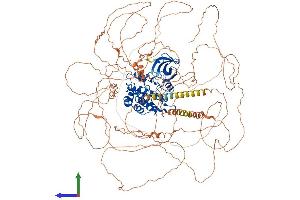 AlphaFold protein structure predicition of Mouse Recombinant Ttbk1 Protein, UniprotID Q6PCN3