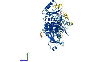 AlphaFold protein structure predicition of Mouse Recombinant Aspg Protein, UniprotID A0JNU3