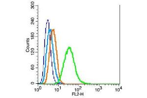 RSC96 cells probed with WDR26 Polyclonal Antibody, unconjugated  at 1:100 dilution for 30 minutes compared to control cells (blue) and isotype control (orange) (WDR26 anticorps  (AA 101-200))