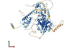 AlphaFold protein structure predicition of Human Recombinant USP33 Protein, UniprotID Q8TEY7