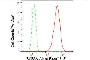 Flow cytometric analysis of RAB8A expression in HepG2 cells using RAB8A antibody (ABIN7800107), 1:2,000). (Recombinant RAB8A anticorps)