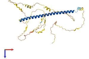 AlphaFold protein structure predicition of Mouse Recombinant Creb5 Protein, UniprotID Q8K1L0